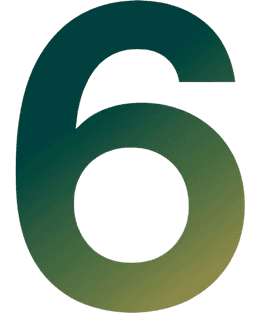 Etapa 06