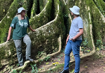 Folha de Louro - Galeria 10