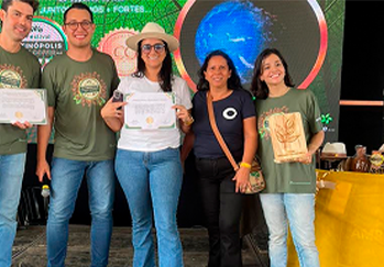 Folha de Louro - Galeria 01