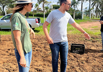 Folha de Louro - Galeria 14