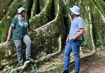 Folha de Louro - Galeria 10