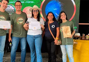 Folha de Louro - Galeria 01