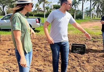 Folha de Louro - Galeria 14