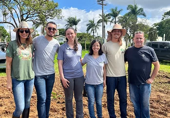 Folha de Louro - Galeria 09